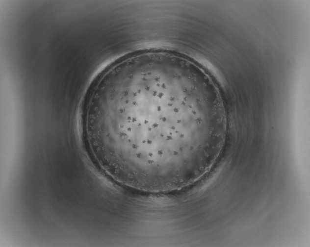 X0000111180983200907011406