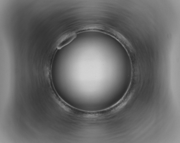 X0000111180985200907011406