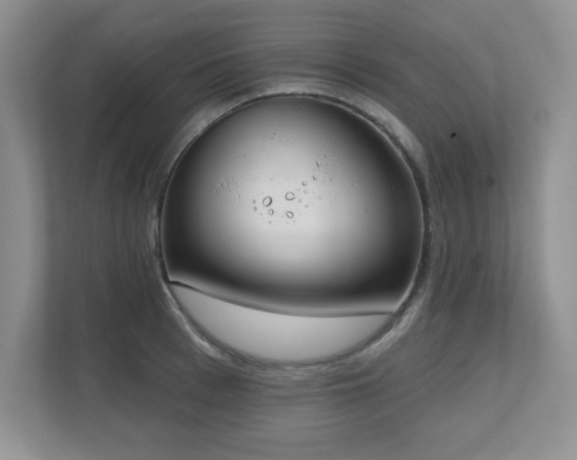 X0000111180993200907011406