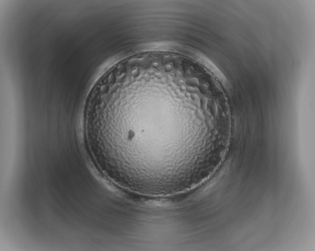 X0000111180994200907011406