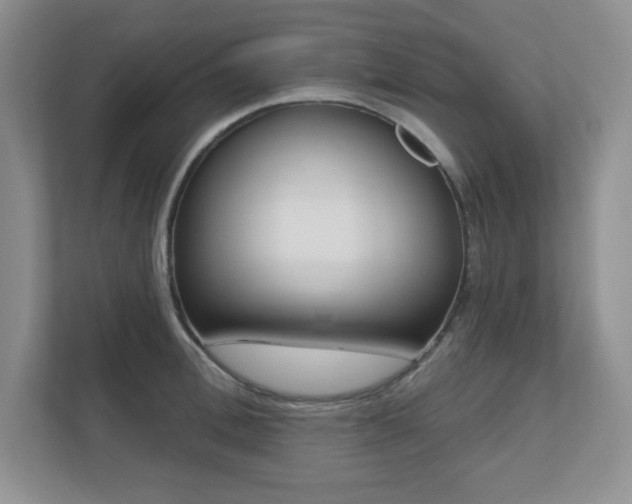 X0000111180996200907011406