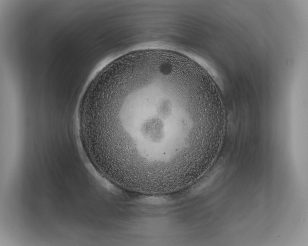 X0000111180998200907011406