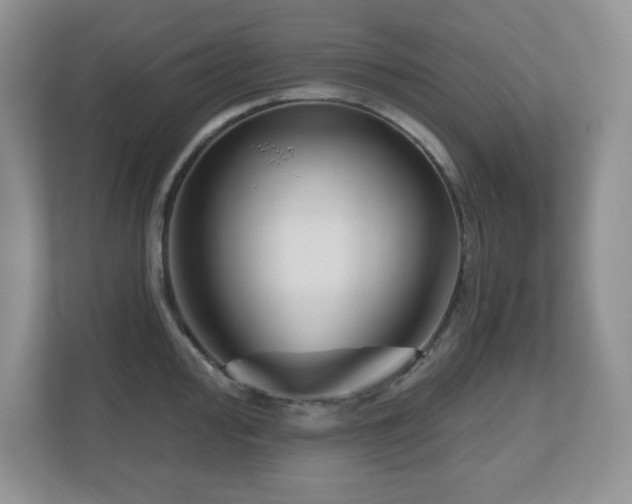 X0000111181000200907011406