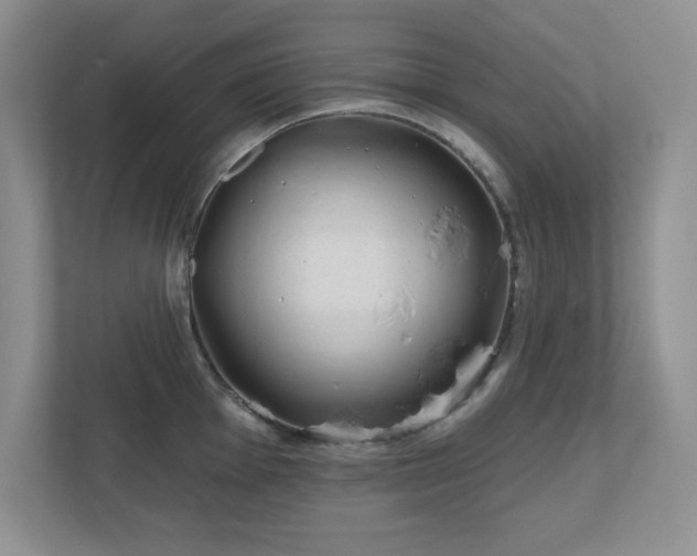 X0000111181001200907011406