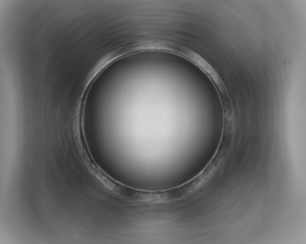 X0000111181002200907011406