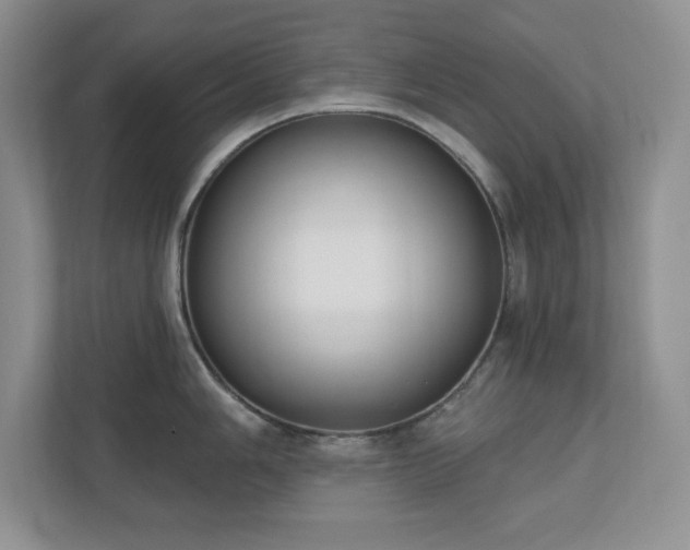 X0000111181006200907011406
