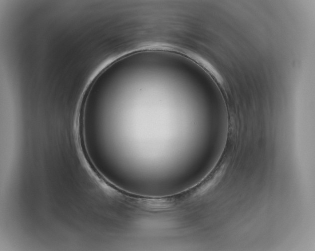 X0000111181007200907011406