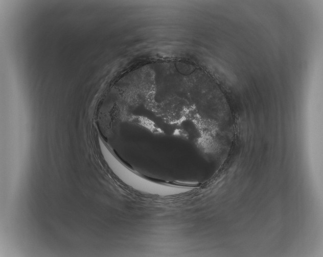 X0000111181009200907011405