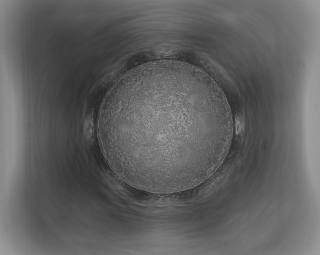 X0000111181011200907011405