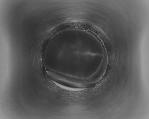 X0000111181013200907011405