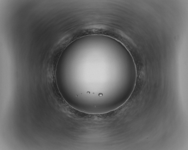 X0000111181014200907011405