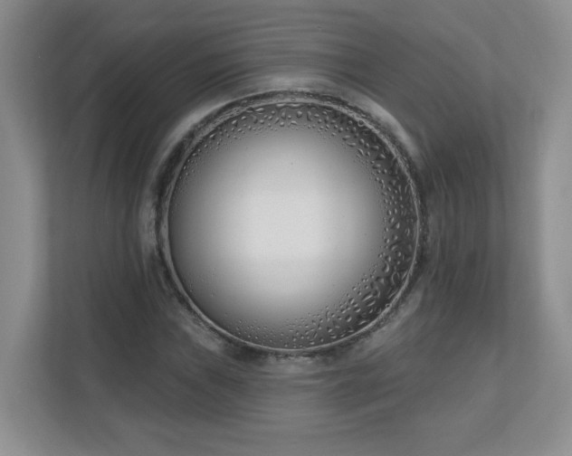 X0000111181019200907011406