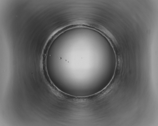 X0000111181020200907011406