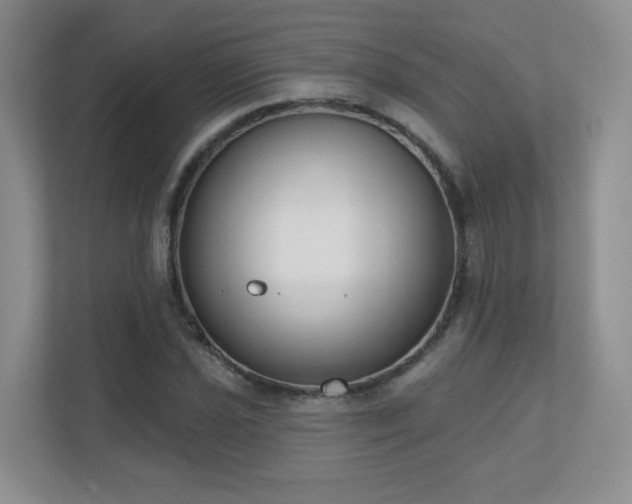 X0000111181021200907011406