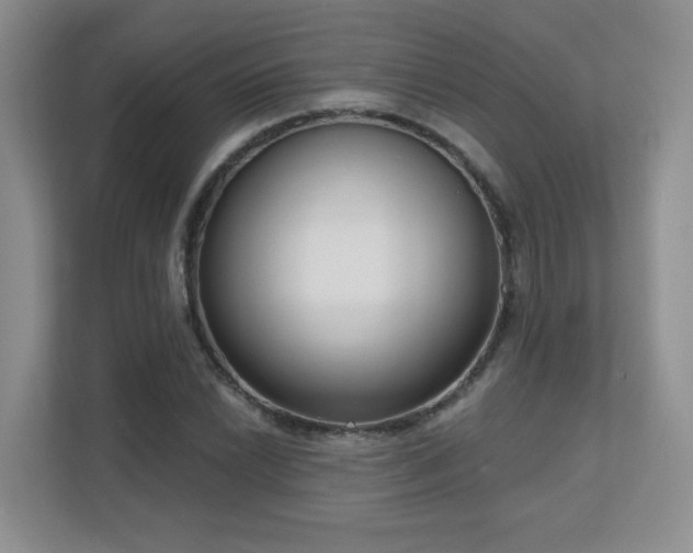 X0000111181022200907011406