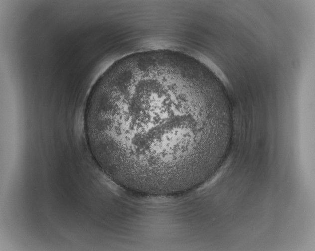 X0000111181023200907011406