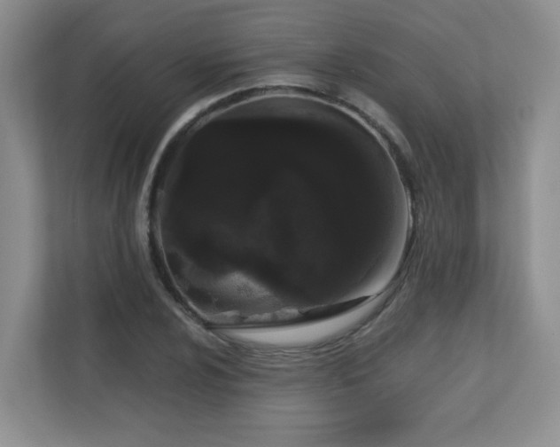 X0000111181024200907011406