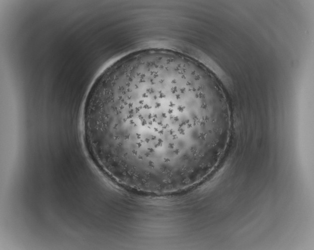 X0000111181028200907011406