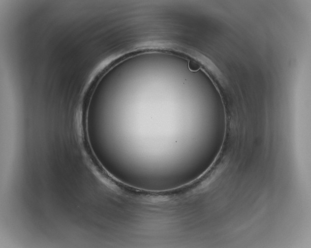 X0000111181030200907011406