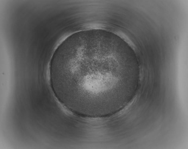 X0000111181031200907011406