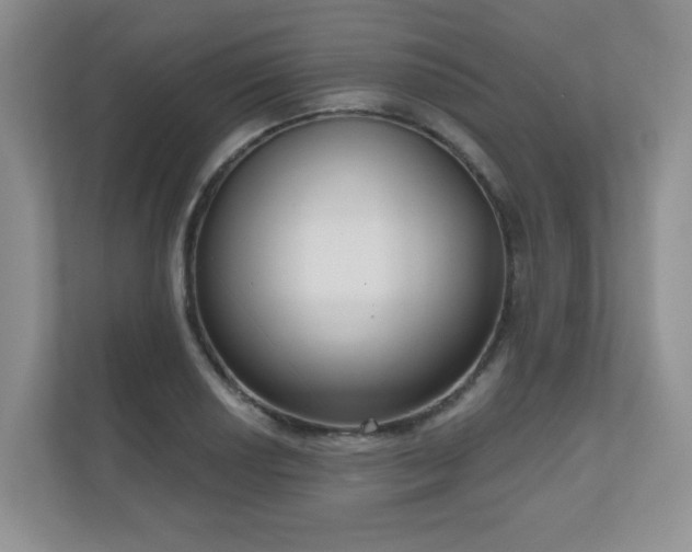 X0000111181034200907011406