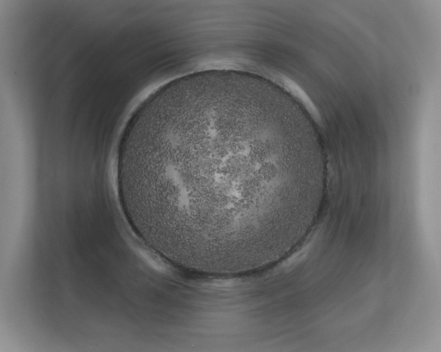 X0000111181035200907011406