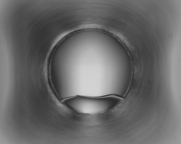X0000111181038200907011406