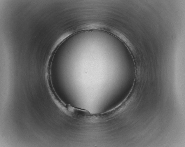 X0000111181042200907011406