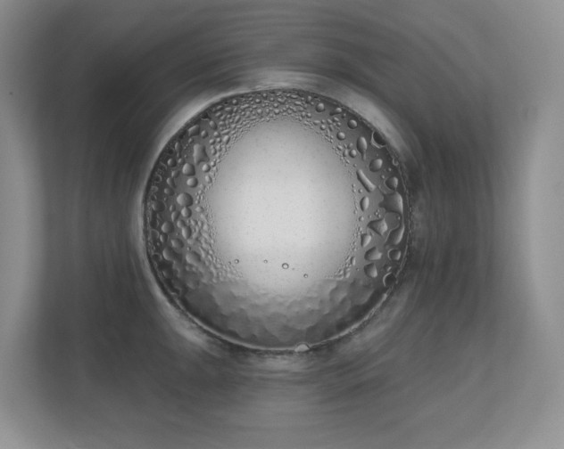 X0000111181047200907011406