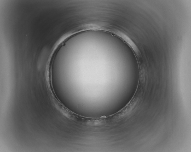 X0000111181051200907011406