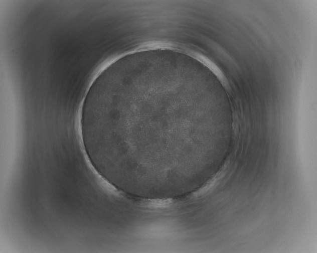 X0000111181055200907011406