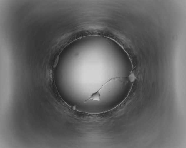 X0000111181061200907011405