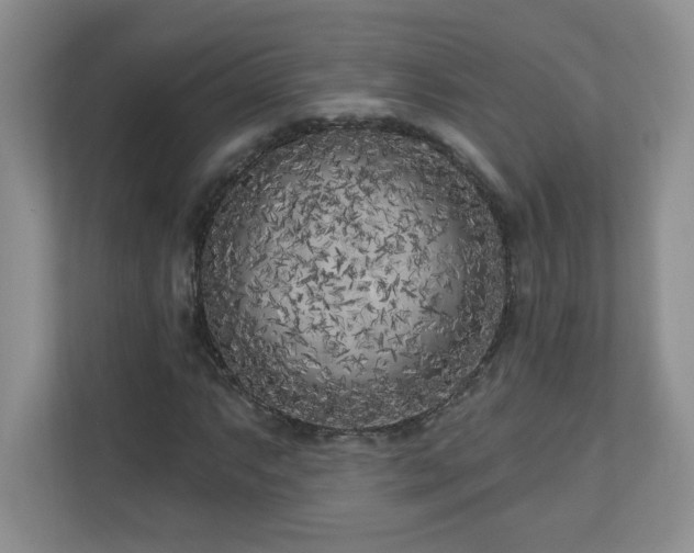 X0000111181063200907011405