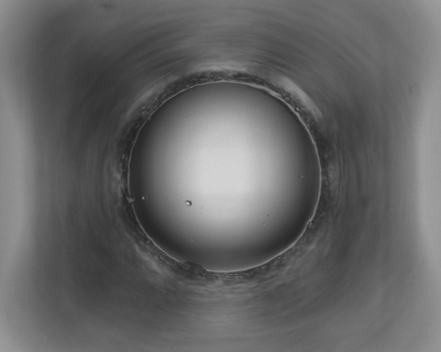 X0000111181064200907011405
