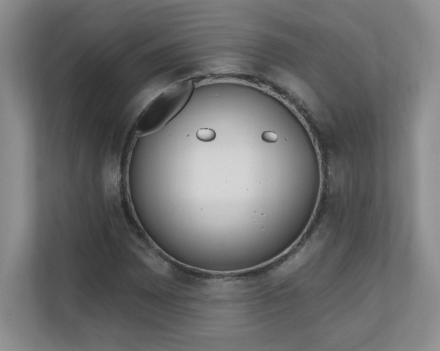 X0000111181065200907011405