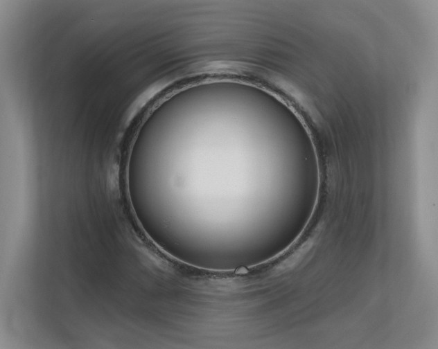 X0000111181066200907011405