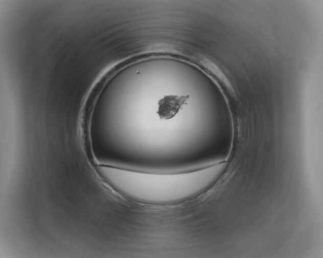X0000111181068200907011405