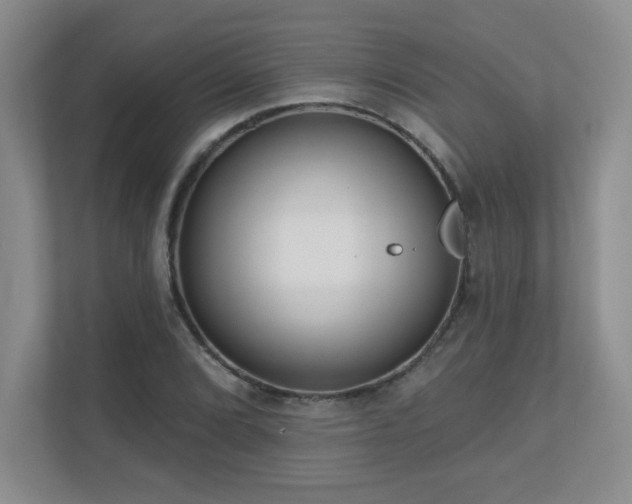 X0000111181072200907011405