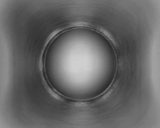 X0000111181082200907011405