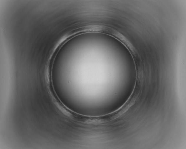 X0000111181083200907011405