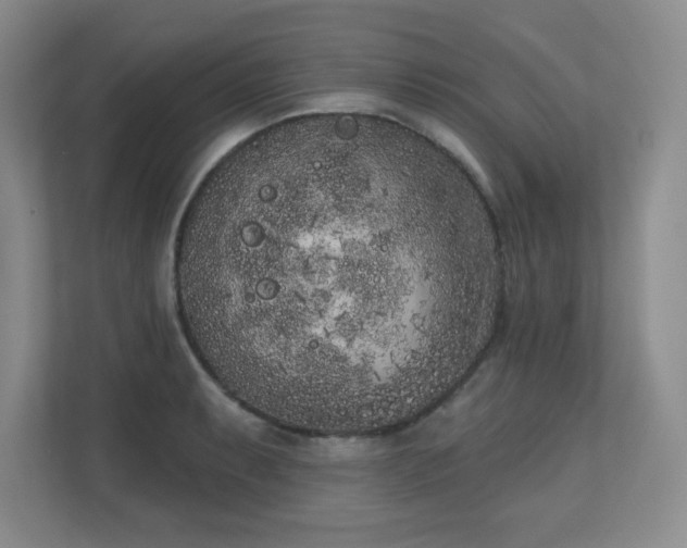 X0000111181087200907011405