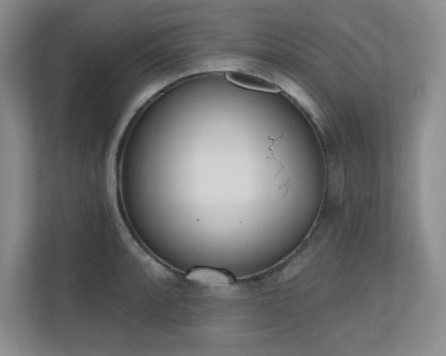 X0000111181088200907011405
