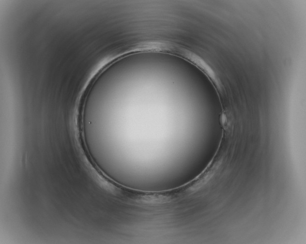 X0000111181091200907011405