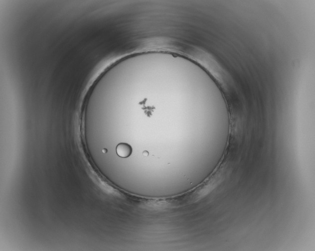 X0000111181094200907011405
