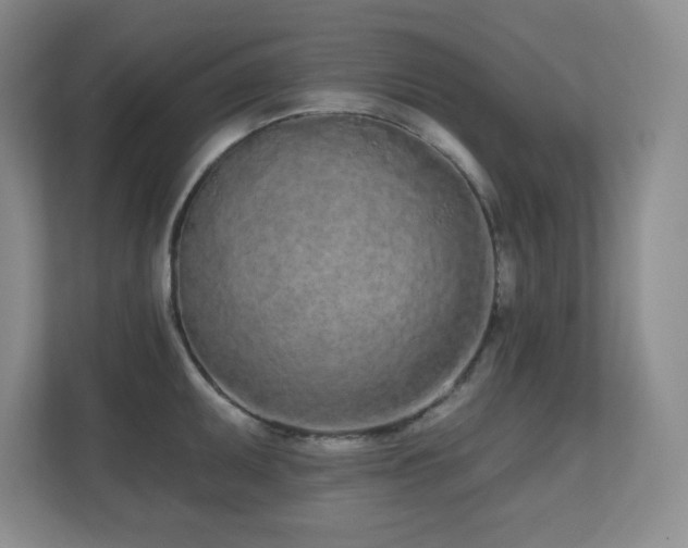 X0000111181095200907011405