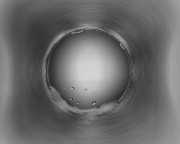 X0000111181096200907011405
