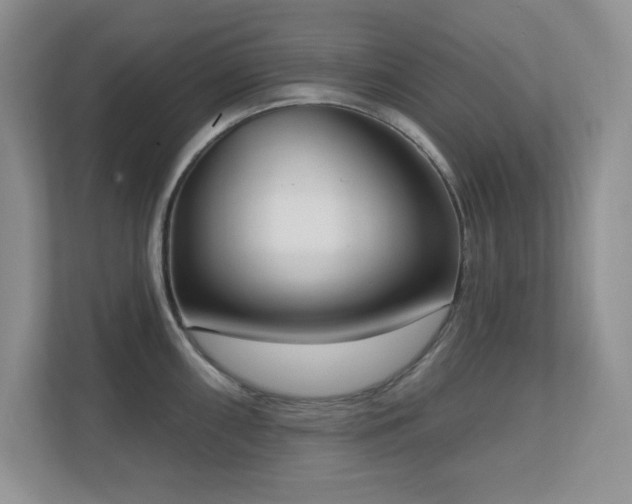 X0000111181098200907011405