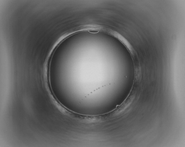 X0000111181099200907011405