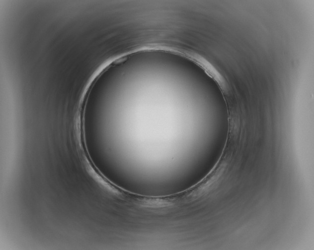 X0000111181100200907011405