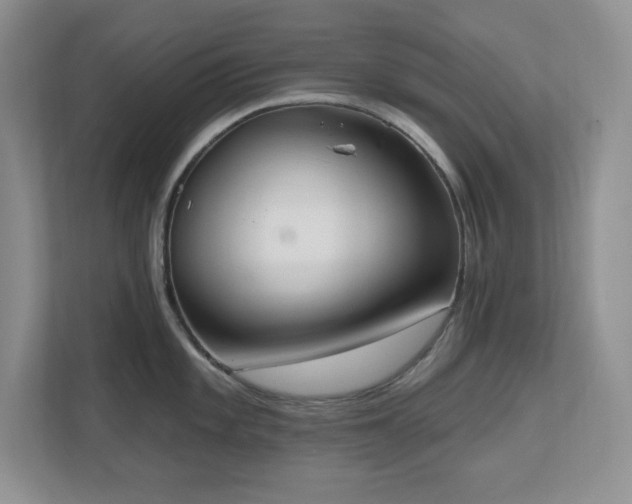 X0000111181101200907011405